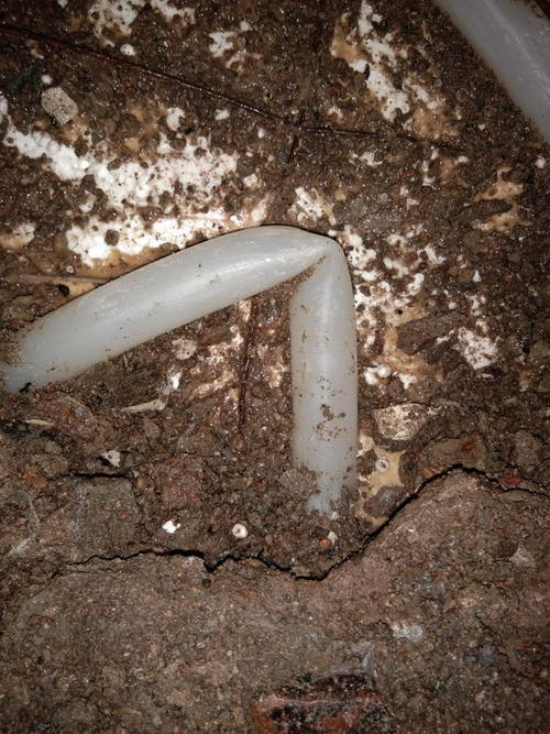 阆中堵点精准查找